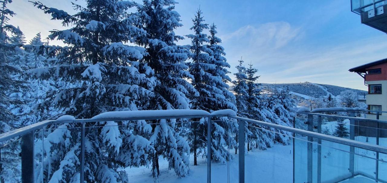 Apartman Nerudovka D 104, Finska Sauna, Garazove Stani Loučná pod Klínovcem Exterior foto
