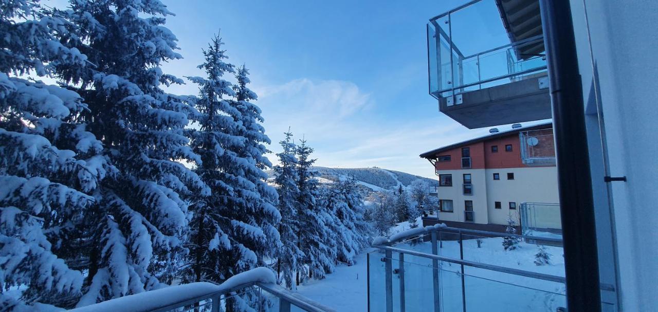 Apartman Nerudovka D 104, Finska Sauna, Garazove Stani Loučná pod Klínovcem Exterior foto