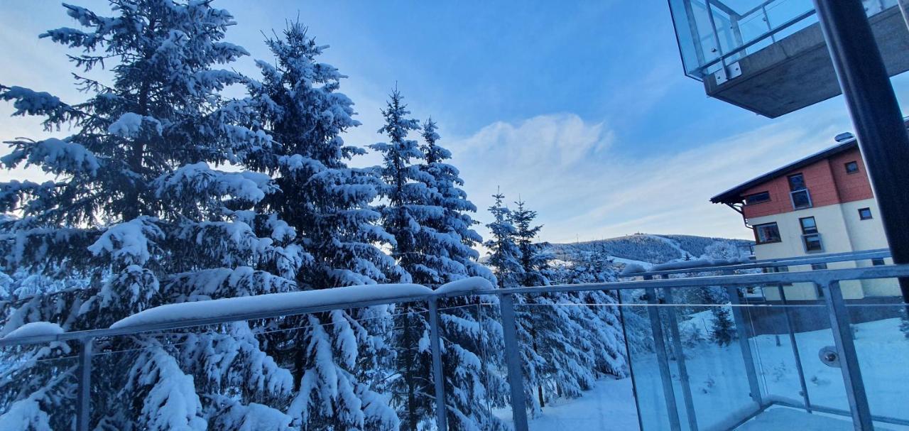 Apartman Nerudovka D 104, Finska Sauna, Garazove Stani Loučná pod Klínovcem Exterior foto