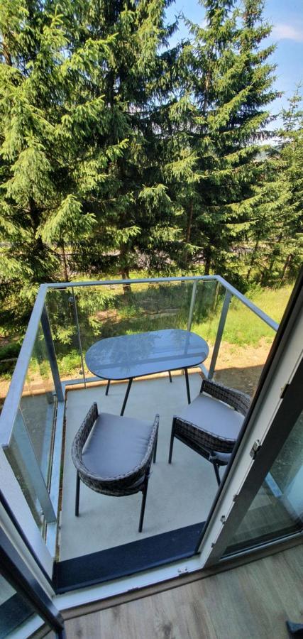 Apartman Nerudovka D 104, Finska Sauna, Garazove Stani Loučná pod Klínovcem Exterior foto