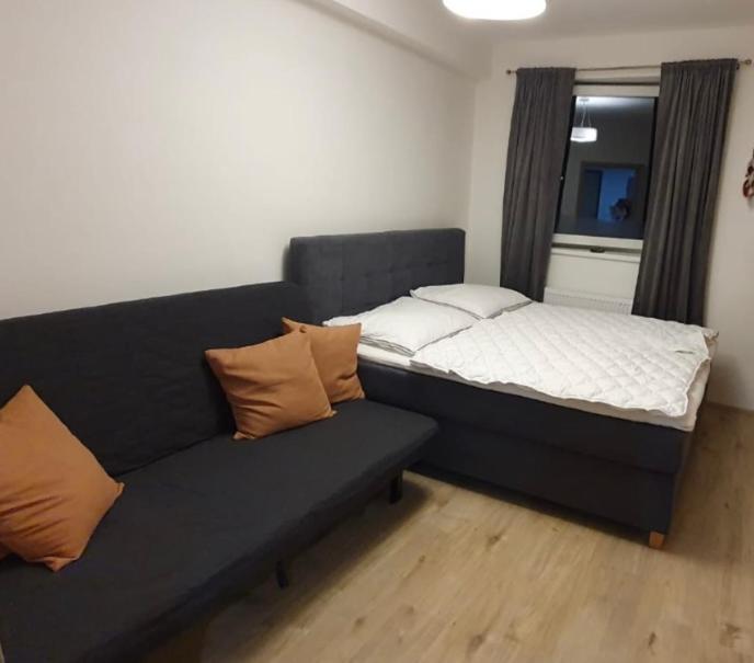 Apartman Nerudovka D 104, Finska Sauna, Garazove Stani Loučná pod Klínovcem Exterior foto